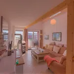 Kapitaensdeck 426